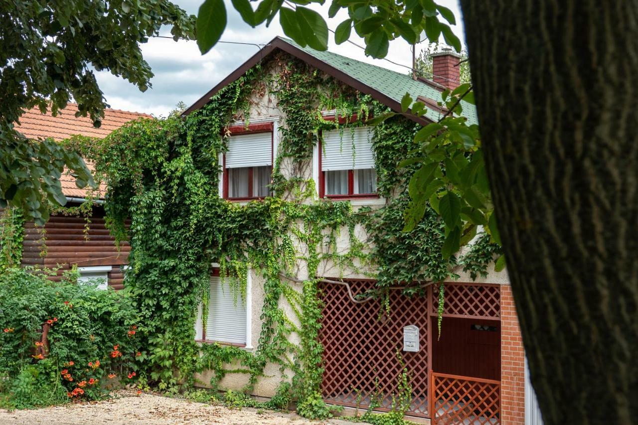 Vadszolo Apartmanhaz Gyomaendrod Exterior photo
